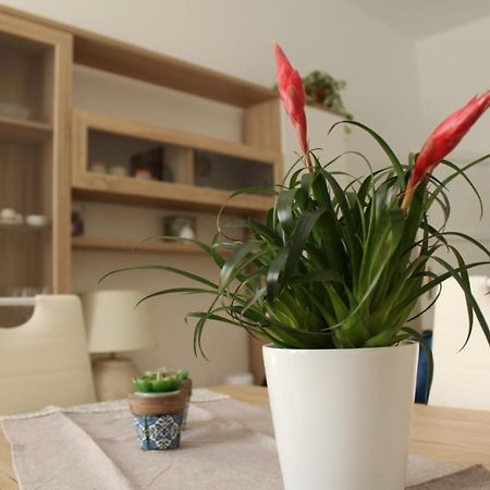 Ohana: Casa Nel Centro Di Lecce Extérieur photo