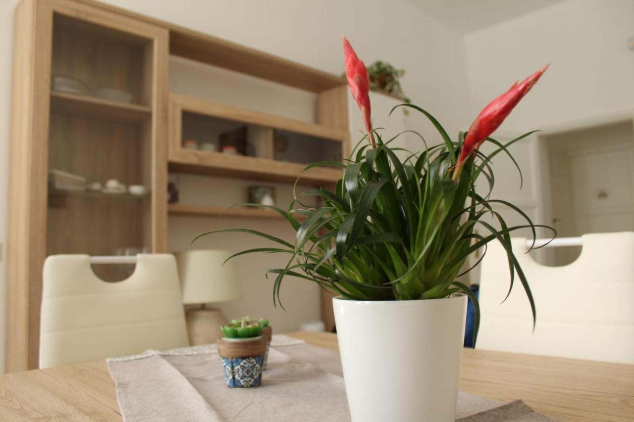 Ohana: Casa Nel Centro Di Lecce Extérieur photo